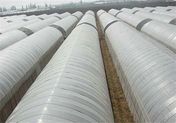 山東溫室大棚廠(chǎng)家